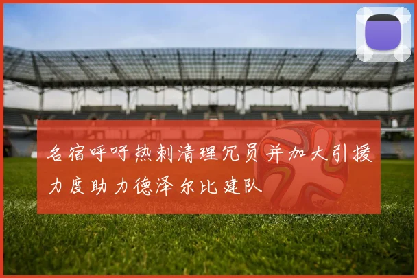 名宿呼吁热刺清理冗员并加大引援力度助力德泽尔比建队