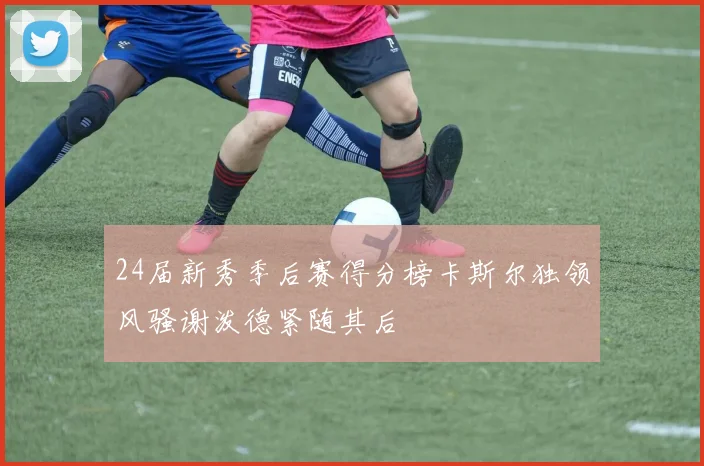 24届新秀季后赛得分榜卡斯尔独领风骚谢泼德紧随其后
