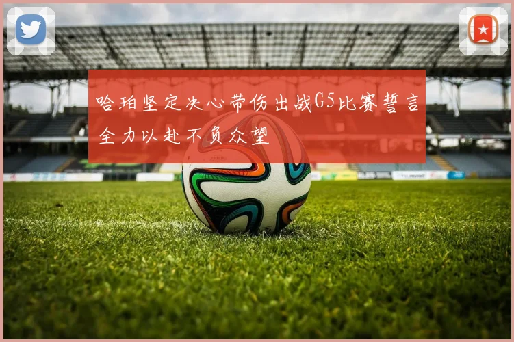 哈珀坚定决心带伤出战G5比赛誓言全力以赴不负众望