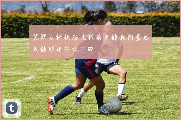 苏群分析快船北伐前景健康因素成关键球迷热议不断