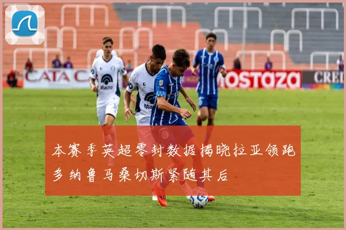 本赛季英超零封数据揭晓拉亚领跑多纳鲁马桑切斯紧随其后